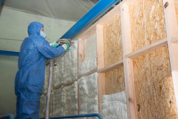 Best Home Insulation Services  in Hagaman, NY